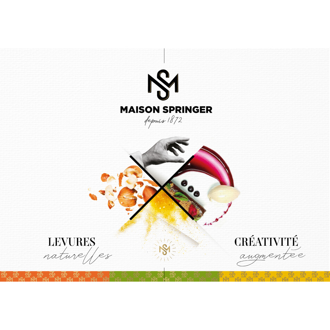 identite-visuelle-creation-marque-maison-springer